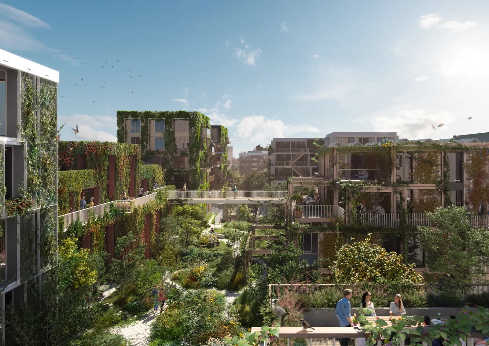 Groene daktuin op een houtbouwproject