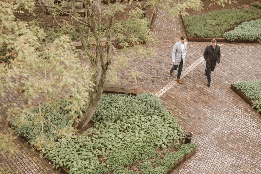 De houten, disruptieve ambitie van VORM